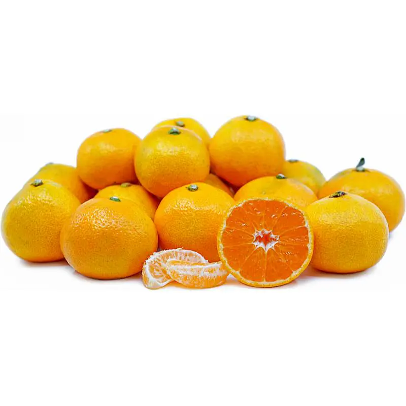 Jeju Mandarin Korea, 900g
