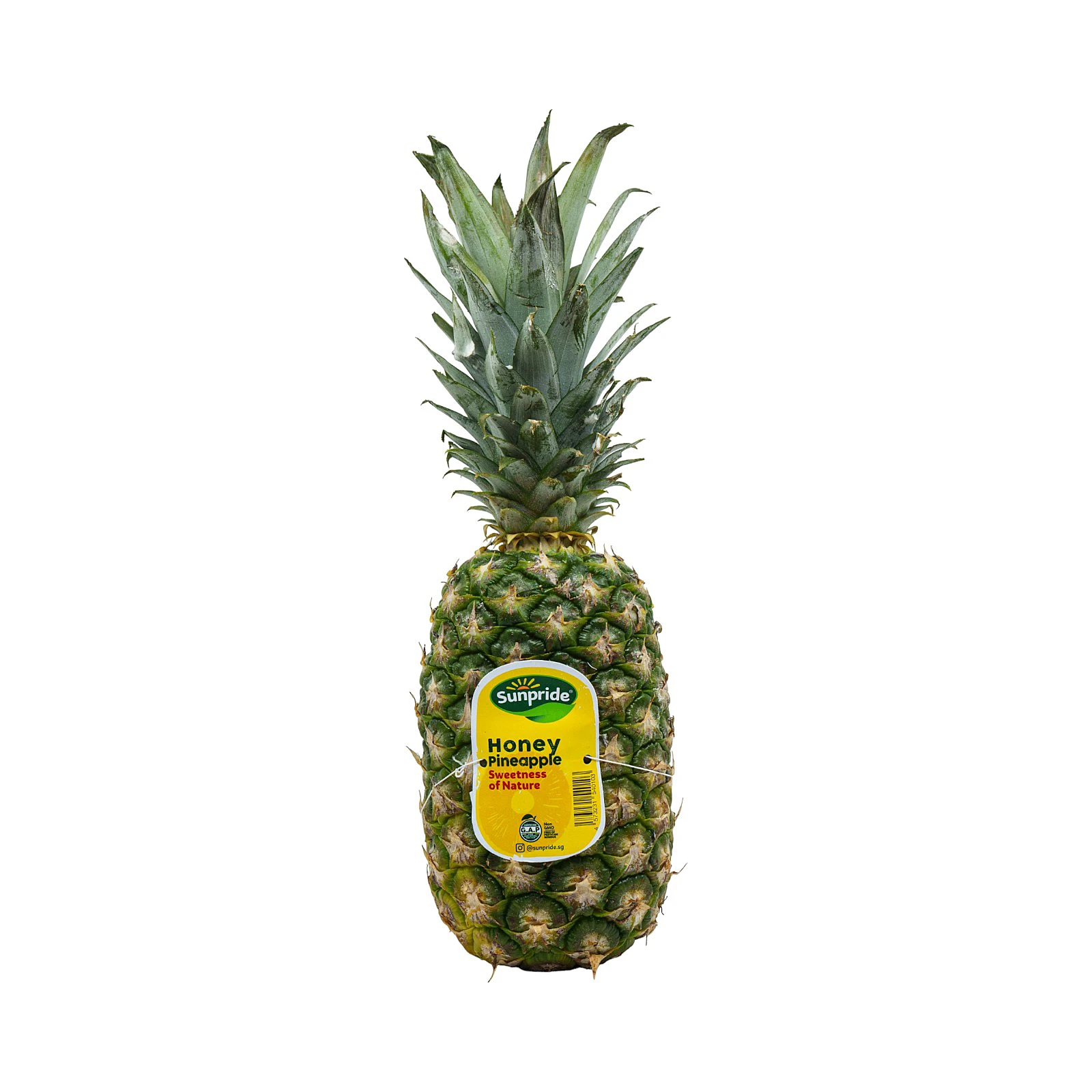 Pineapple Indonesia 1s