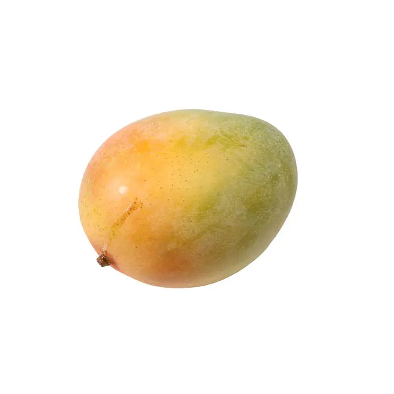 Keitt Mango China 5/6S